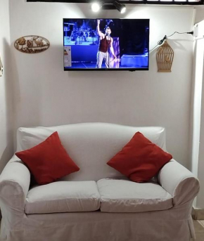 Bruna Zona Alta